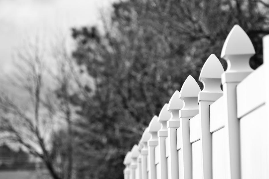 black and white image of fencing against trees