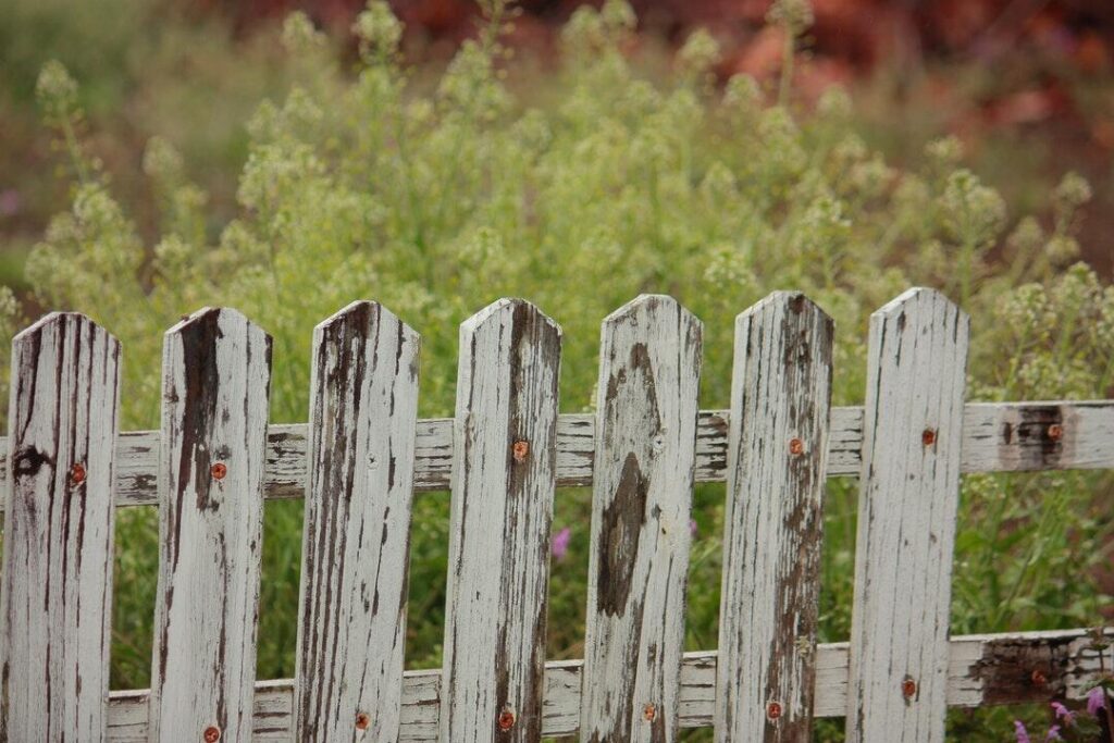 old picket fence that needs to be painted in front of green yard