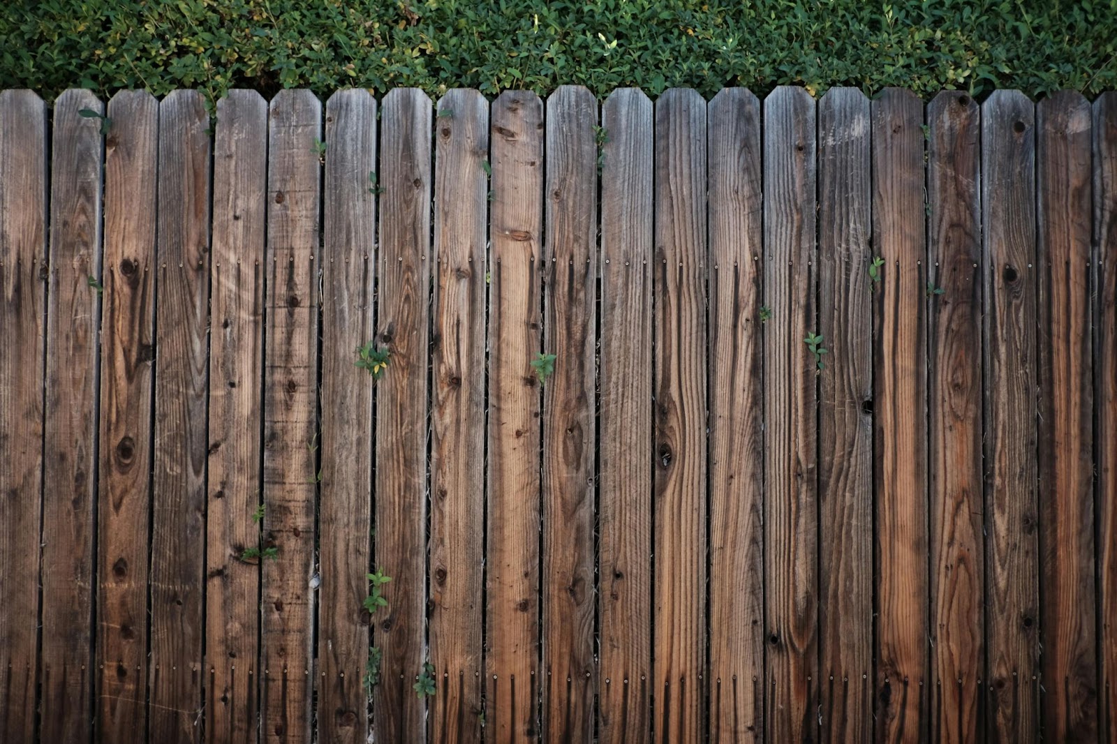 dark wooden fence